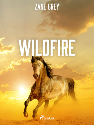 Wildfire - Zane Grey