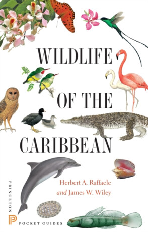 Wildlife of the Caribbean - Herbert A. Raffaele,James Wiley