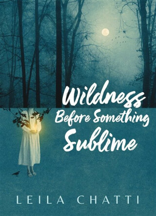 Wildness Before Something Sublime - Leila Chatti
