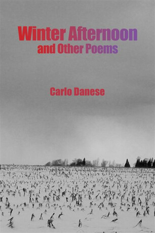 Winter Afternoon and Other Poems - Carlo Danese