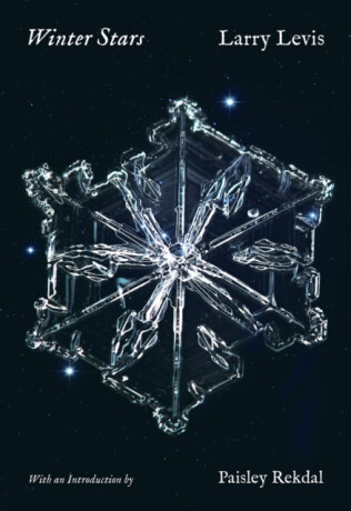 Winter Stars - Larry Levis