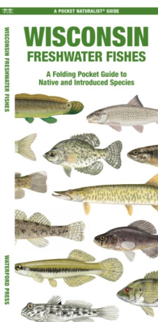 Wisconsin Freshwater Fishes - Matthew Morris