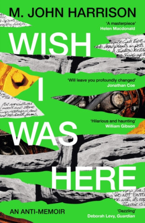 Wish I Was Here - Harrison M.John