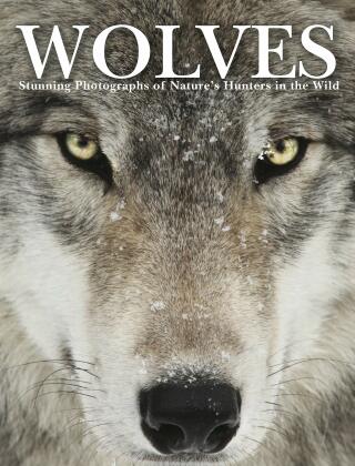 Wolves - Tom Jackson