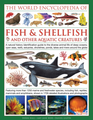 World Encyclopedia Of Fish & Shellfish And Other Aquatic Creatures - Daniel Gilpin,Mary-Jane Beer,Derek Hall