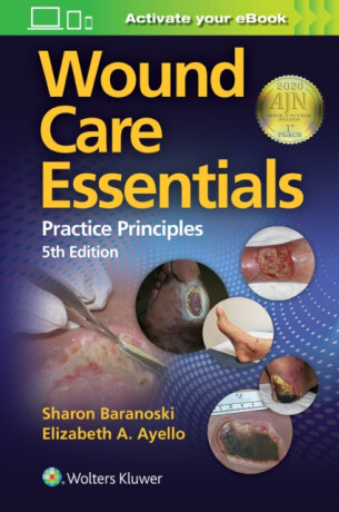 Wound Care Essentials - Elizabeth A. Ayello,Sharon Baranoski