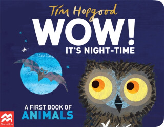 WOW! It's Night-time - Hopgood Tim