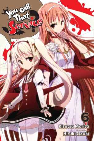 You Call That Service? Light Novel 6 - Kisetsu Morita,Hiroki Ozaki