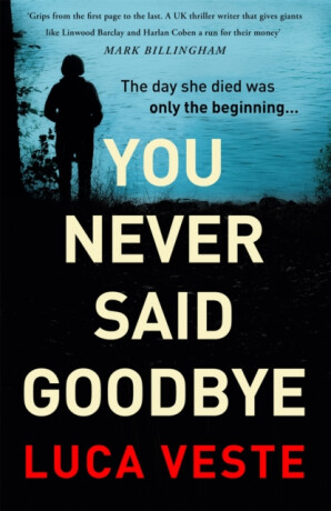 You Never Said Goodbye - Luca Veste