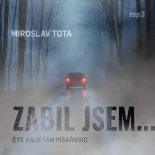 Zabil jsem... - Miroslav Tota