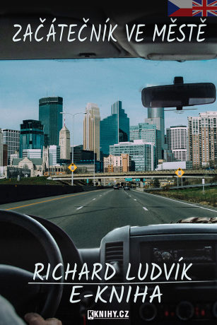 Začátečník ve městě - Richard Ludvík