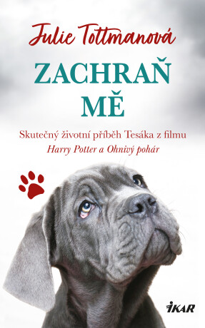 Zachraň mě - Tottmanová Julie