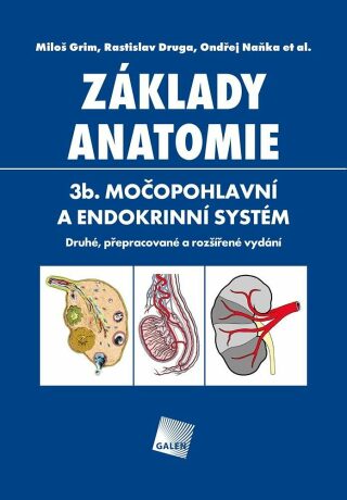 Základy anatomie. 3b - Močopohlavní a endokrinní systém - Ondřej Naňka,Miloš Grim,Rastislav Druga