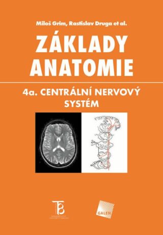 Základy anatomie 4a - Centrální nervový systém - Miloš Grim