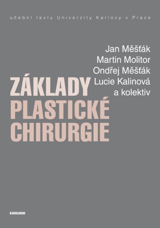 Základy plastické chirurgie - Jan Měšťák,Martin Molitor,Měšťák Ondřej,Lucie Kalinová