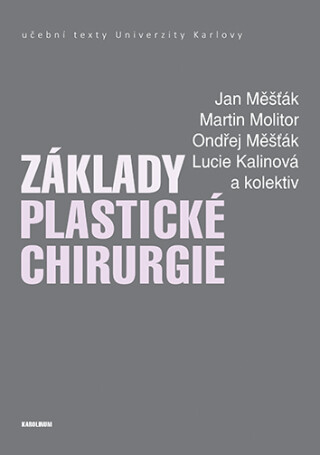 Základy plastické chirurgie - Jan Měšťák,Martin Molitor,Měšťák Ondřej,Lucie Kalinová