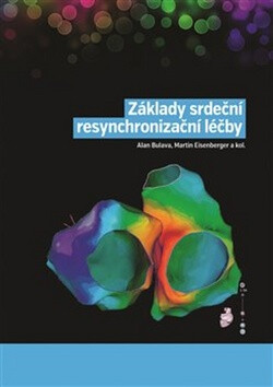 Základy srdeční resynchronizační léčby - Alan Bulava,Martin Eisenberger