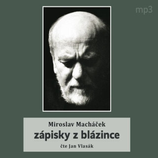 Zápisky z blázince - Miroslav Macháček