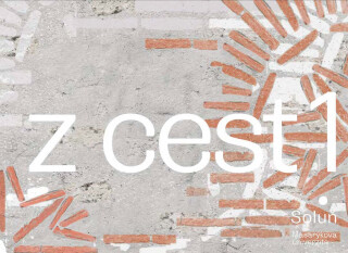 Zápisky z cest 1 - Zuzana Frantová,Ivan Foletti,Monika Kučerová