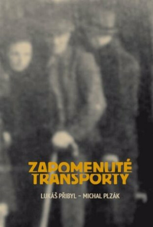 Zapomenuté transporty - Lukáš Přibyl,Michal Plzák