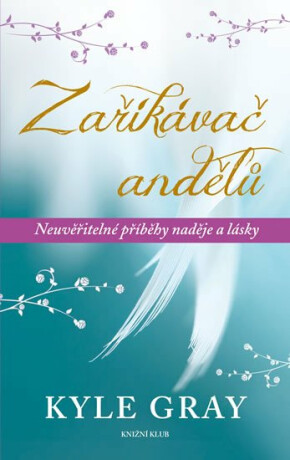 Zaříkávač andělů - Neuvěřitelné příběhy naděje a lásky - Kyle Gray