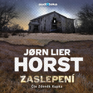 Zaslepení - Jørn Lier Horst