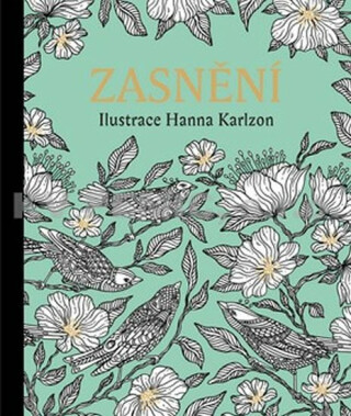 Zasnění - Antistresové omalovánky - Hanna Karlzon