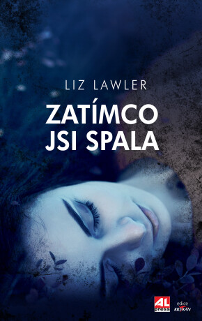 Zatímco jsi spala - Liz Lawler