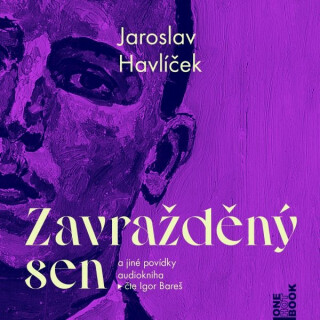 Zavražděný sen a jiné povídky - Jaroslav Havlíček