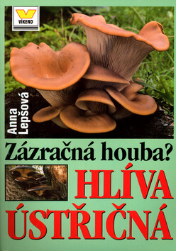 Zázračná houba? Hlíva ústřičná - 