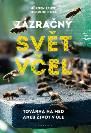 Zázračný svět včel - Dietrich Steen,Jurgen Tautz