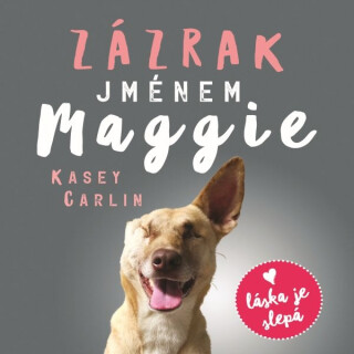 Zázrak jménem Maggie - Kasey Carlin