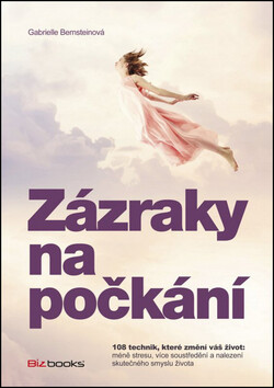Zázraky na počkání - Gabrielle Bernsteinová