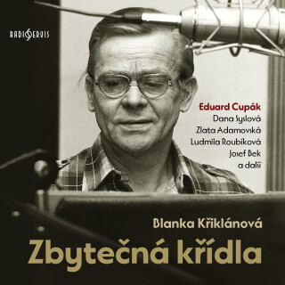 Zbytečná křídla - Blanka Křiklánová