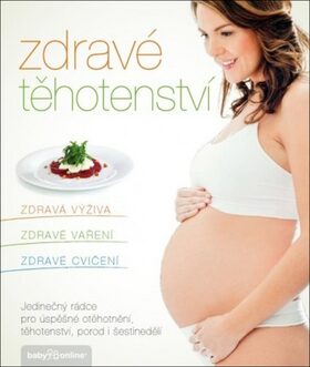 Zdravé těhotenství - Jana Martincová,Vorlová Kamila,Jana Eliášová