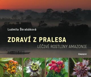 Zdraví z pralesa - Škrabáková Ludmila