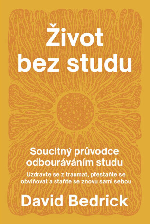 Život bez studu - Soucitný průvodce odbourávání studu - David Bedrick