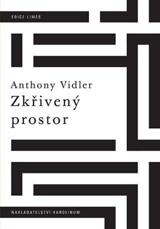 Zkřivený prostor - Anthony Vidler