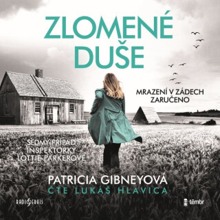 Zlomené duše - Patricia Gibneyová