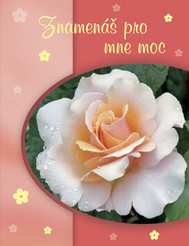 Znamenáš pro mne moc - 