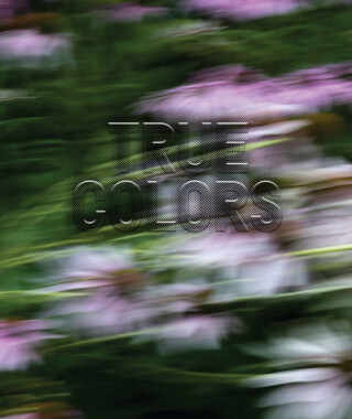 Zora J Murff: True Colors - 