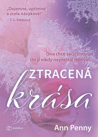 Ztracená krása - Ann Penny