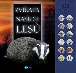 Zvířata našich lesů - Andrea Pinningtonová,Caz Buckingham
