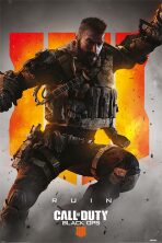 Plakát - Call of Duty 4 - Ruin - 