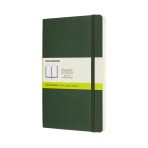Moleskine - zápisník - čistý, zelený L - 