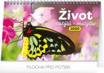 Stolní kalendář Život motýlů – motýlov 2020 (Defekt) - 