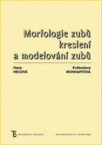 Morfologie zubů - Kreslení a modelování zubů - Květoslava Monhartová, ...