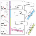 Vzory podstatných jmen - kartičky k procvičování třídění slov podle vzorů podstatných jmen - Jitka Rubínová