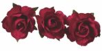 Knorr Prandell Papírové květiny - červené 12 ks - 