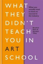 What They Didn´t Teach You in Art School - Davis Rosalind